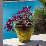 Apartment Sea Breeze - Front Sea Zaboric