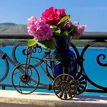 Sea Breeze - Front Sea * Zaboric